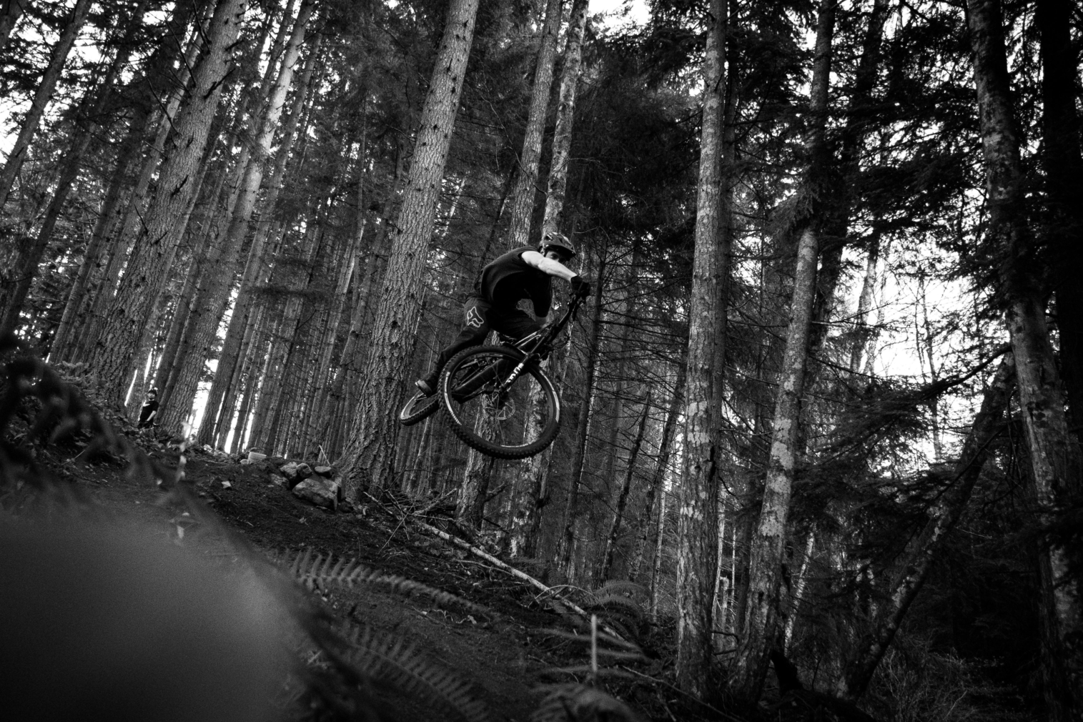 Creatine for Mountain Bikers
