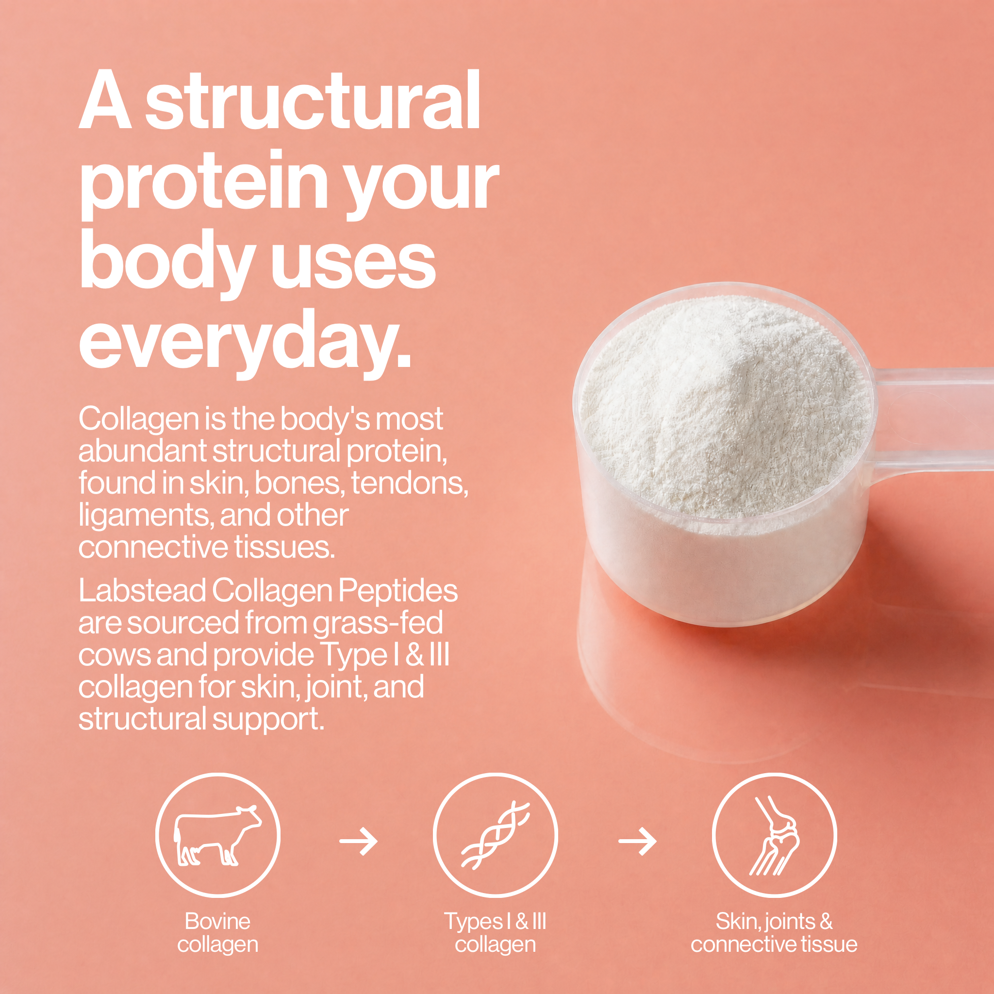 Collagen Peptides