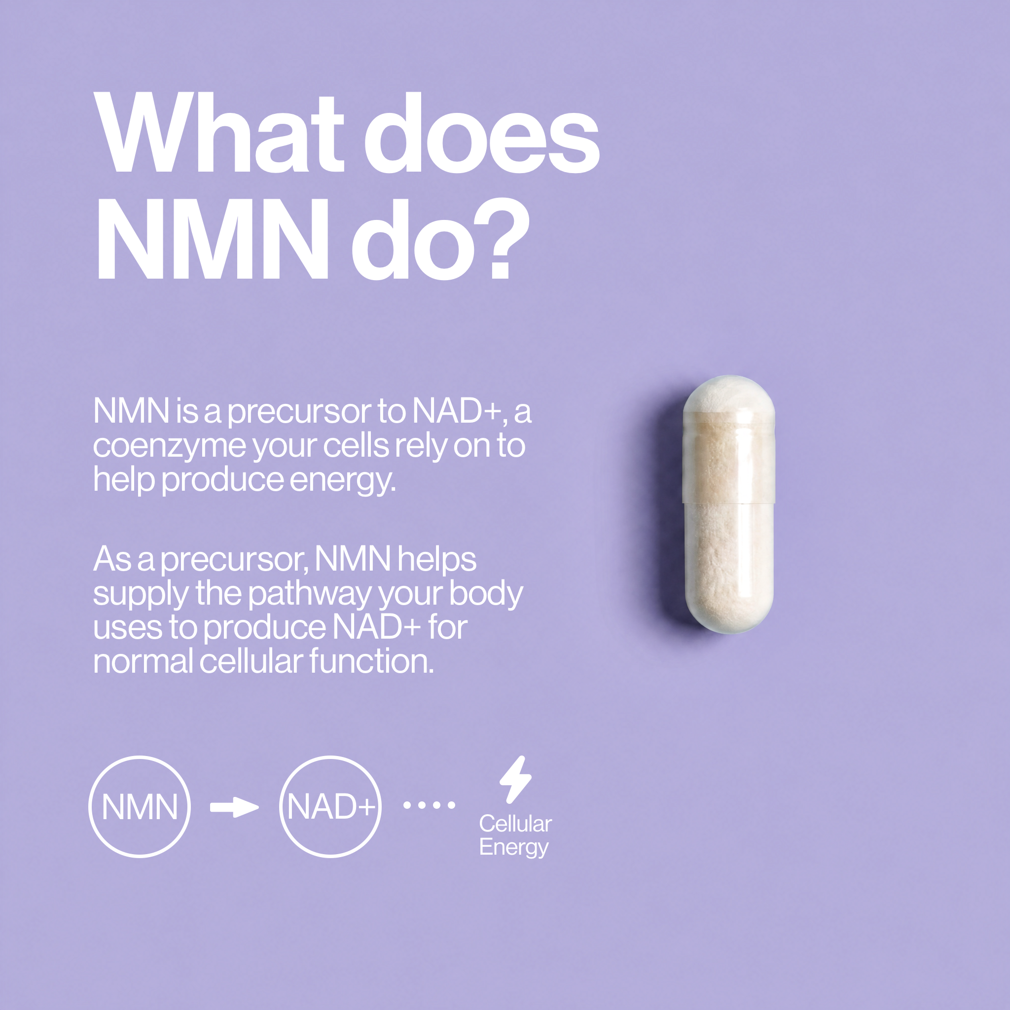 NMN